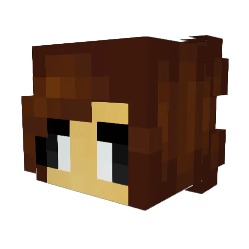 EevelutionLV100 Minecraft avatar head, 3D render