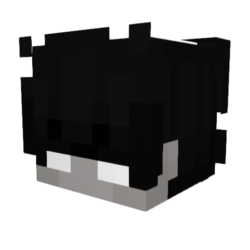 Eevertti077 Minecraft avatar head, 3D render