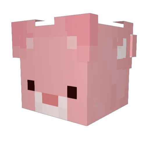 Eeyore666 Minecraft avatar head, 3D render