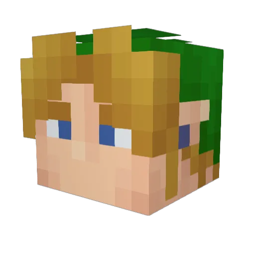 Eeyore77458 Minecraft avatar head, 3D render