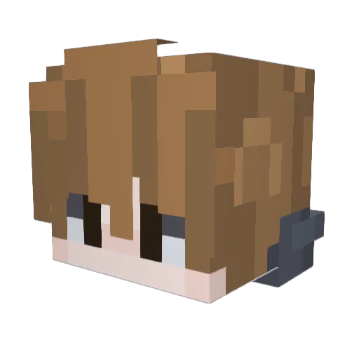 EfeSAY29 Minecraft avatar head, 3D render