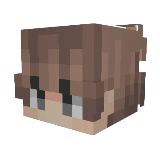 EfeTalha10 Minecraft avatar head, 3D render