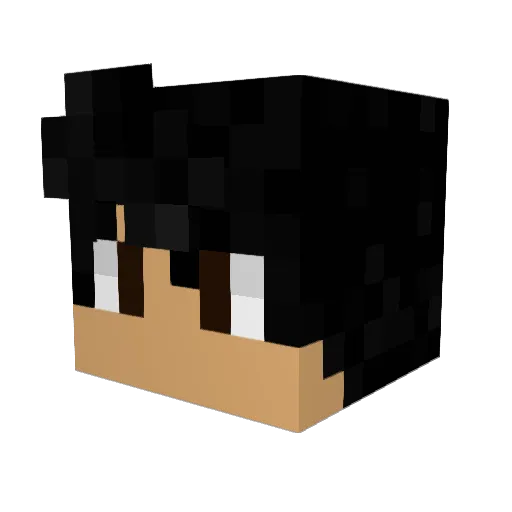 Efecimnapiyon Minecraft avatar head, 3D render