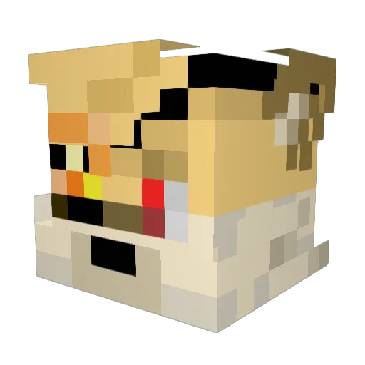 EffDoes Minecraft avatar head, 3D render