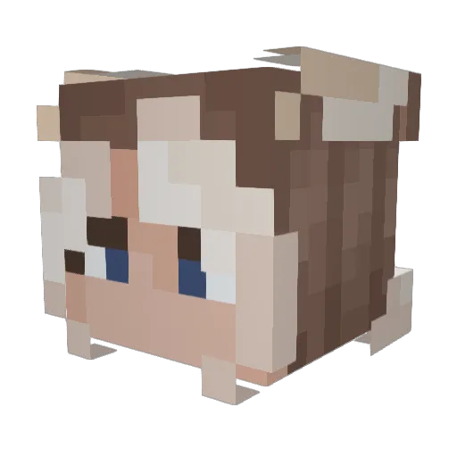 Effir_1 Minecraft avatar head, 3D render