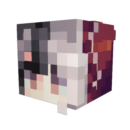 Effluxi Minecraft avatar head, 3D render
