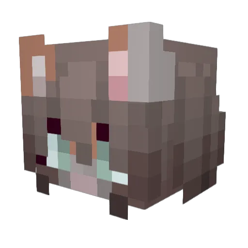 EffoVex Minecraft avatar head, 3D render