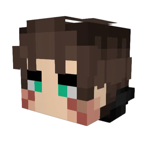 Eflow1120 Minecraft avatar head, 3D render