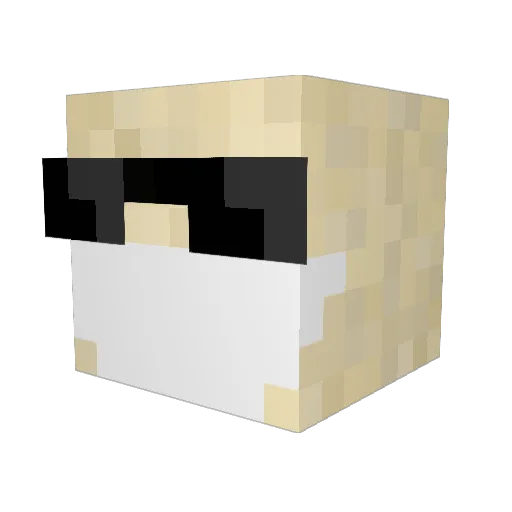EfratCraft Minecraft avatar head, 3D render