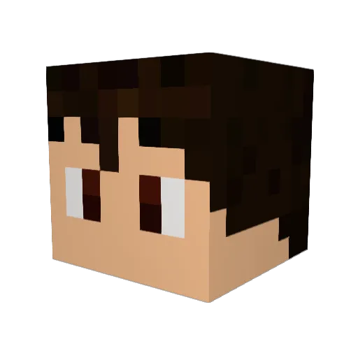 Eften89 Minecraft avatar head, 3D render