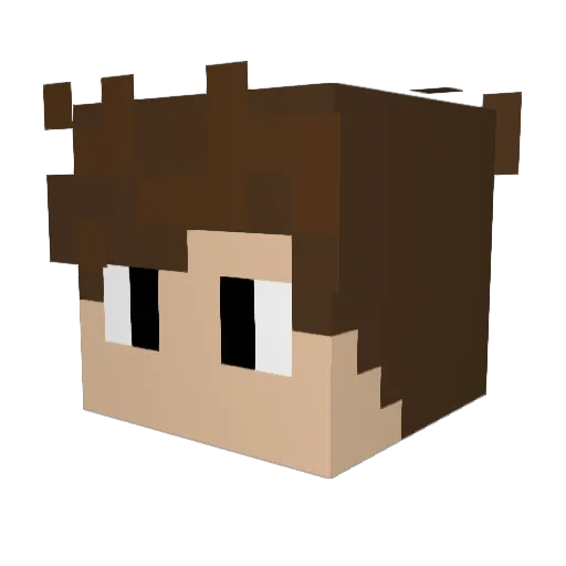 Egamer113 Minecraft avatar head, 3D render