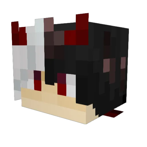 EganBoi671 Minecraft avatar head, 3D render