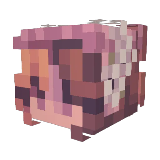 Egg_exe404 Minecraft avatar head, 3D render