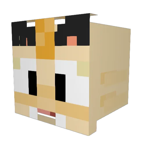 Eggannn Minecraft avatar head, 3D render