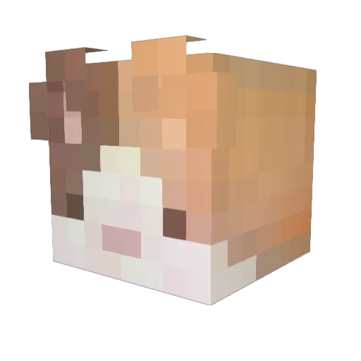 Eggh__ Minecraft avatar head, 3D render
