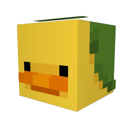 Eggie2711 Minecraft avatar head, 3D render