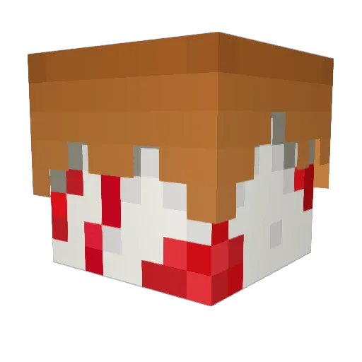 Eggraidz Minecraft avatar head, 3D render