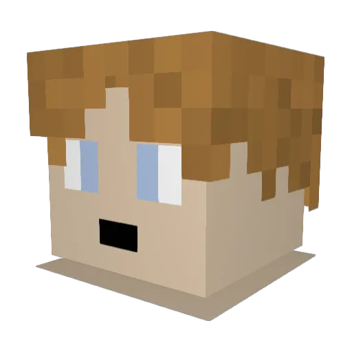 EggrollNinja72 Minecraft avatar head, 3D render