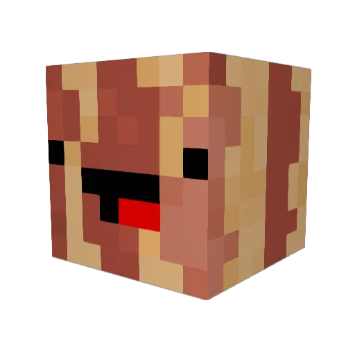 EggsNBacon29 Minecraft avatar head, 3D render