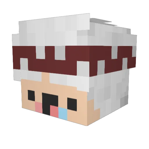 Eggs_And_Toast Minecraft avatar head, 3D render