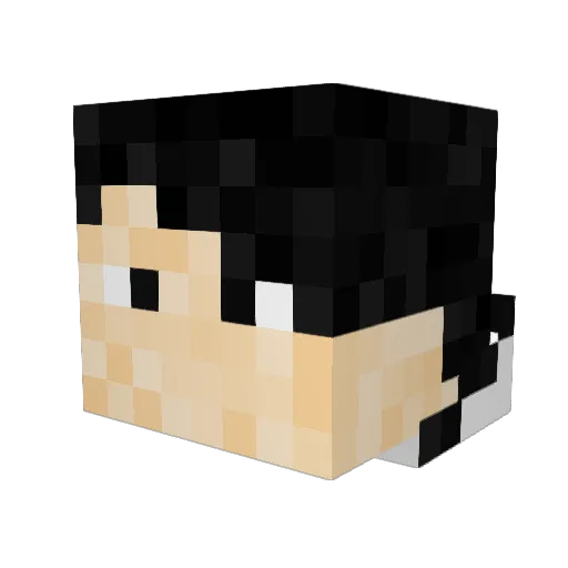 Eggsaladface Minecraft avatar head, 3D render