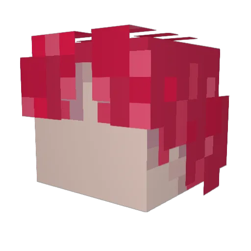 Eggums Minecraft avatar head, 3D render