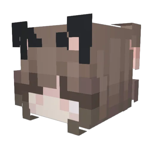 EggyPlant69 Minecraft avatar head, 3D render
