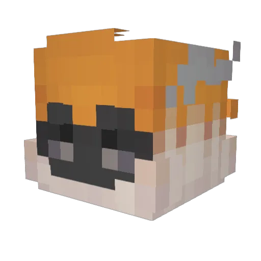 Eggy__ Minecraft avatar head, 3D render