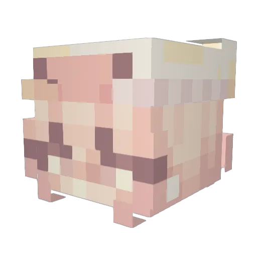 Egija Minecraft avatar head, 3D render