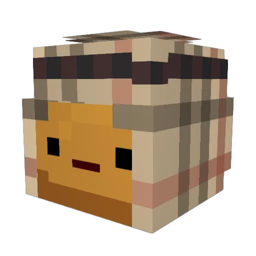 Egyptman00 Minecraft avatar head, 3D render