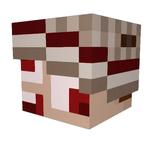 EhCrazyCanadian Minecraft avatar head, 3D render