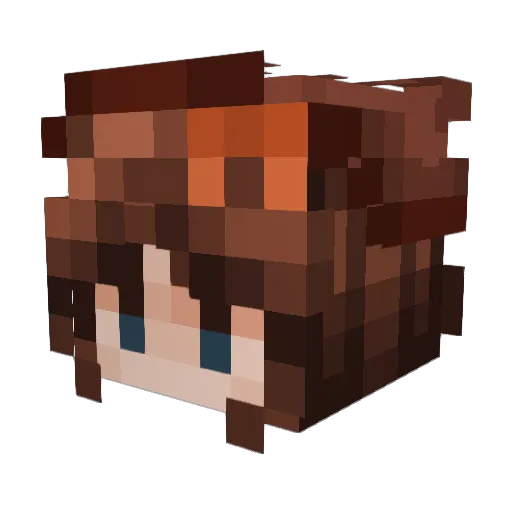 EhTheFry Minecraft avatar head, 3D render