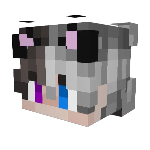 EhanZuu Minecraft avatar head, 3D render