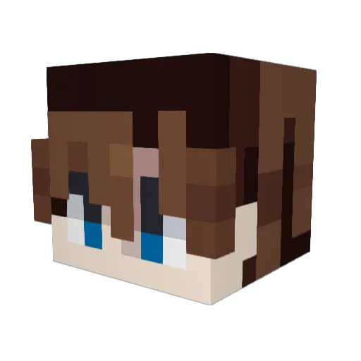 Ehdbs0pp Minecraft avatar head, 3D render