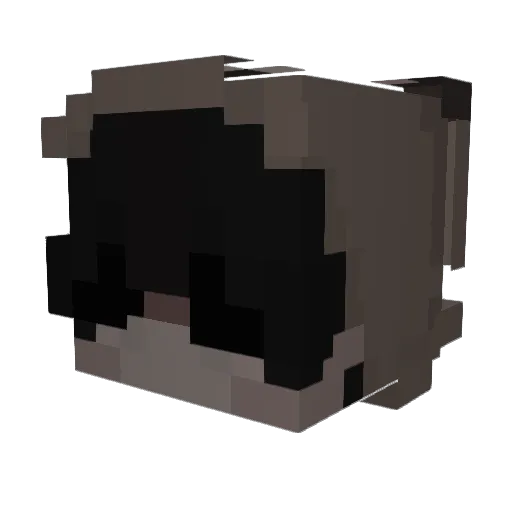 Ehgx Minecraft avatar head, 3D render