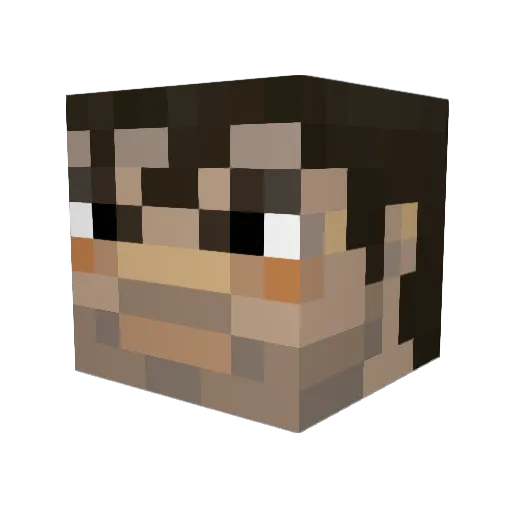 Ehnonimus Minecraft avatar head, 3D render