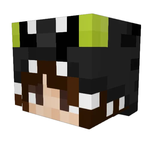 EhrenGurkee Minecraft avatar head, 3D render
