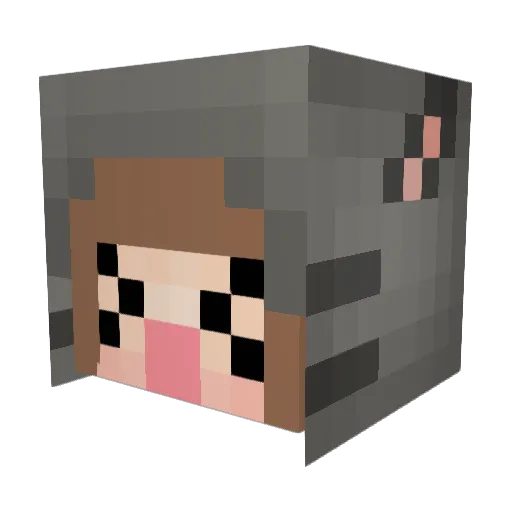 Ehs Minecraft avatar head, 3D render