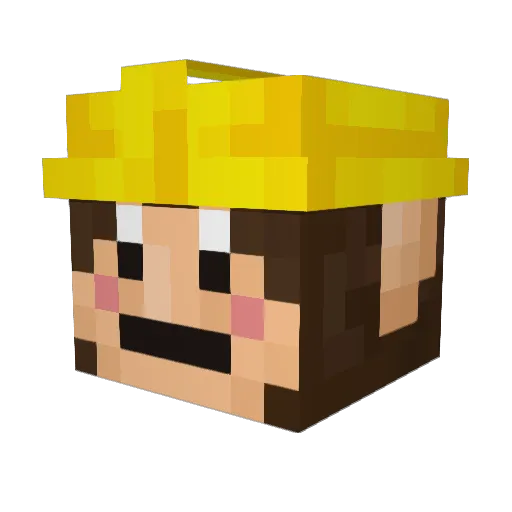 Ehwe Minecraft avatar head, 3D render