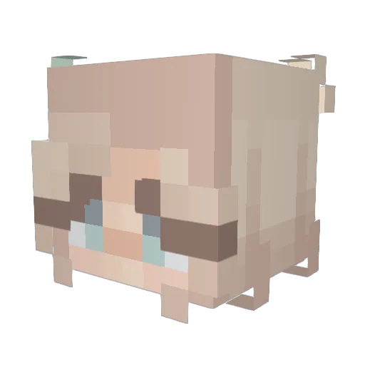 Eibhlis00 Minecraft avatar head, 3D render