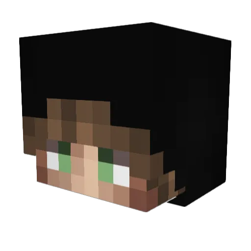 Eiche Minecraft avatar head, 3D render