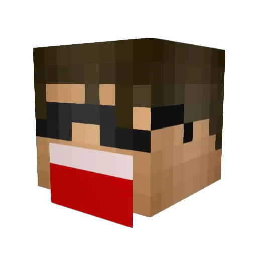 Eichi33 Minecraft avatar head, 3D render