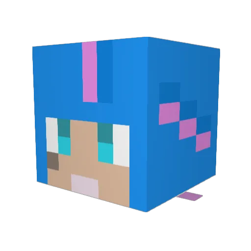 EidaFan Minecraft avatar head, 3D render