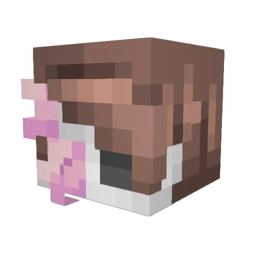 Eidalon Minecraft avatar head, 3D render