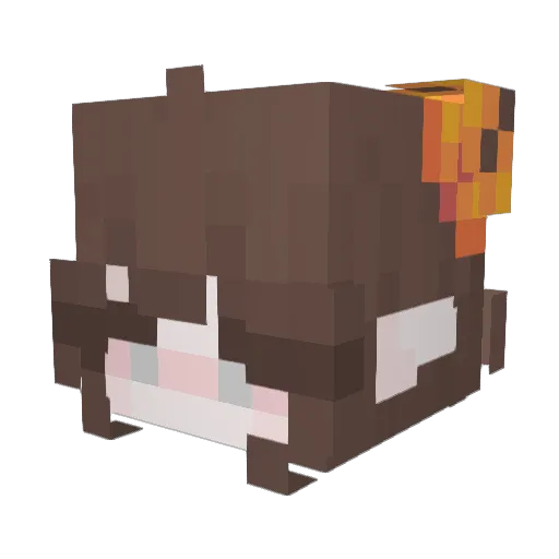Eidef Minecraft avatar head, 3D render