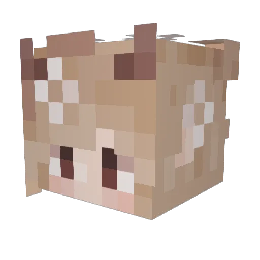 Eidoas Minecraft avatar head, 3D render