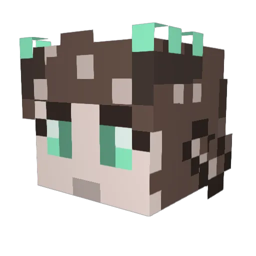 Eidoefia Minecraft avatar head, 3D render