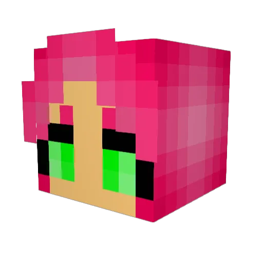 EierHalter Minecraft avatar head, 3D render