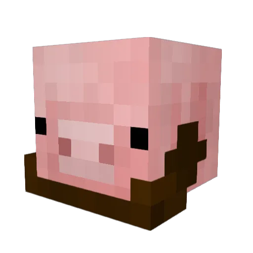 Eiffel3955 Minecraft avatar head, 3D render