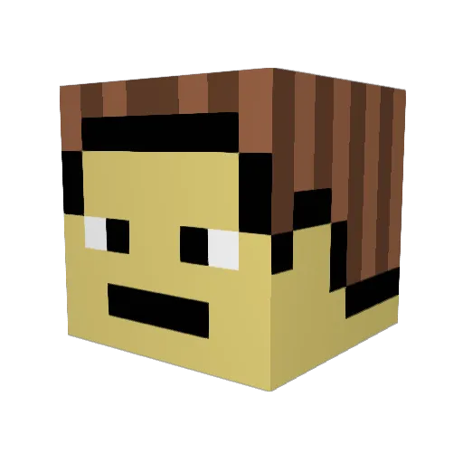 Eigenvektor Minecraft avatar head, 3D render